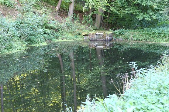 Am Braunsteinhaus (Foto: nnz)