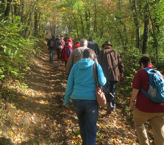 Durch die hohe Schrecke (Foto: Hohe Schrecke) Durch die hohe Schrecke (Foto: Hohe Schrecke)