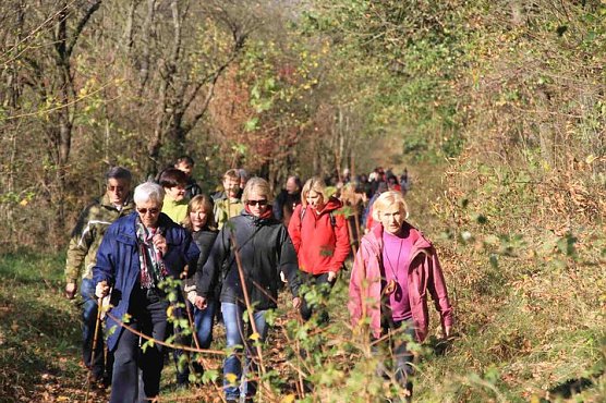 Reformationstags-Wanderung (Foto: B. Wollweber) Reformationstags-Wanderung (Foto: B. Wollweber)