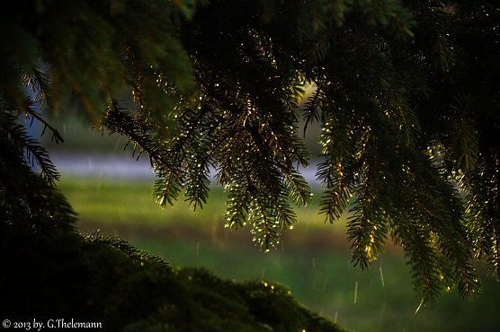 Am Mittwochmorgen (Foto: G. Thelemann) Am Mittwochmorgen (Foto: G. Thelemann)