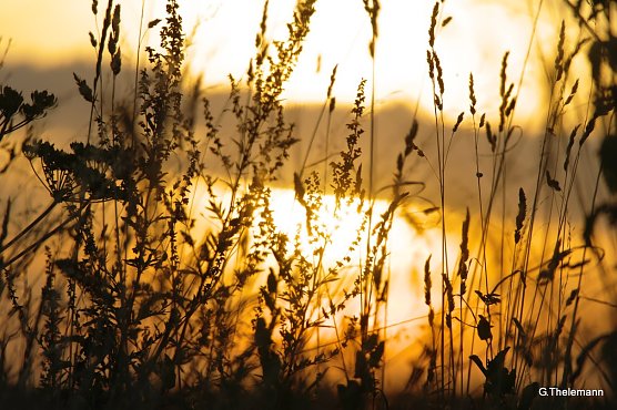 Scheint die Sonne ein wenig am Wochenende? (Foto: G. Thelemann) Scheint die Sonne ein wenig am Wochenende? (Foto: G. Thelemann)