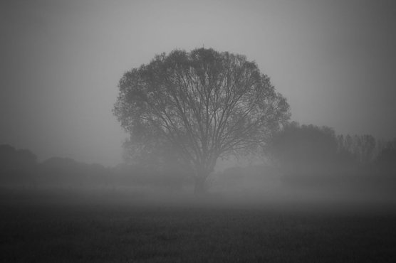 Herbstwetter (Foto: G. Thelemann) Herbstwetter (Foto: G. Thelemann)