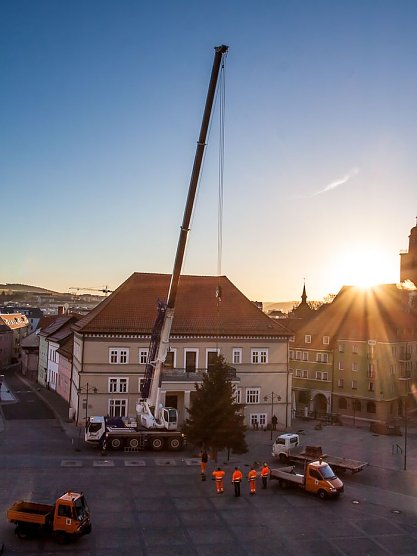 Weihnachtsbaum steht (Foto: Thomas Zelmer)