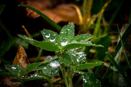Wetter-Bild (Foto: Gernot Thelemann)