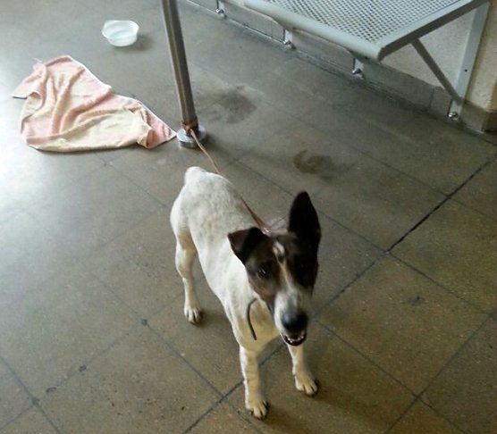 Praktikant bei der Polizei (Foto: Polizeiinspektion Kyffh&auml;user)