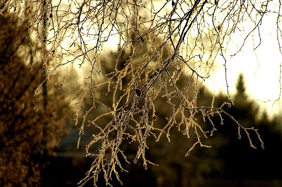 Wetter-Bild (Foto: Gernot Thelemann)