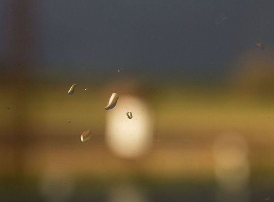 Wetterbild (Foto: Gernot Thelemann) Wetterbild (Foto: Gernot Thelemann)