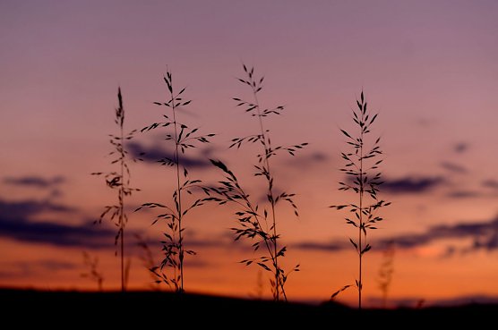 Das Wetter-Bild (Foto: Gernot Thelemann) Das Wetter-Bild (Foto: Gernot Thelemann)