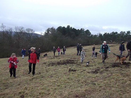 4-Pfoten Hundeclub aktiv (Foto: Olivia Heinzel) 4-Pfoten Hundeclub aktiv (Foto: Olivia Heinzel)