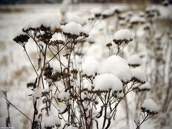Wetter-Bild (Foto: Gernot Thelemann)