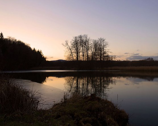 Walkenrieder Teich am Mittwochabend (Foto: Gernot Thelemann)