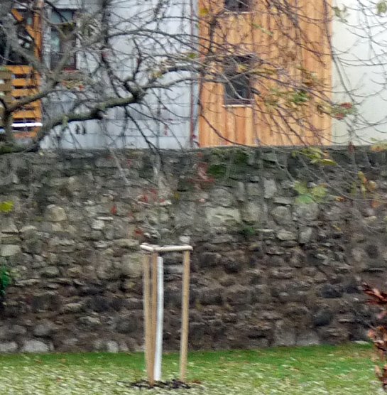 Vandalen am Gottesacker (Foto: Karl-Heinz Herrmann)