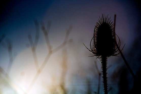 Wetter-Bild (Foto: Gernot Thelemann)