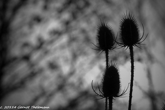 Wetter-Bild (Foto: Gernot Thelemann)