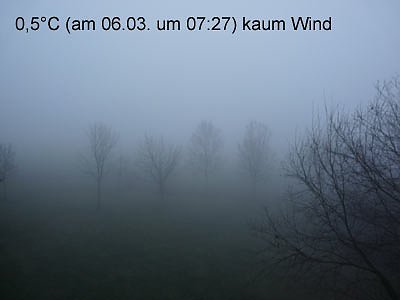 Ja ist denn schon Herbst? (Foto: privat)