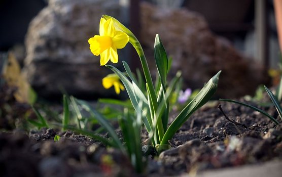 Wetter-Bild (Foto: Gernot Thelemann)