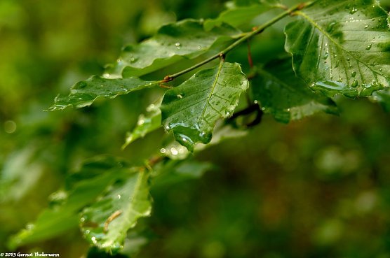 Wetter-Bild (Foto: Gernot Thelemann)