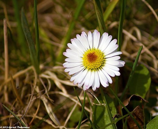 Wetter-Bild (Foto: Gernot Thelemann) Wetter-Bild (Foto: Gernot Thelemann)