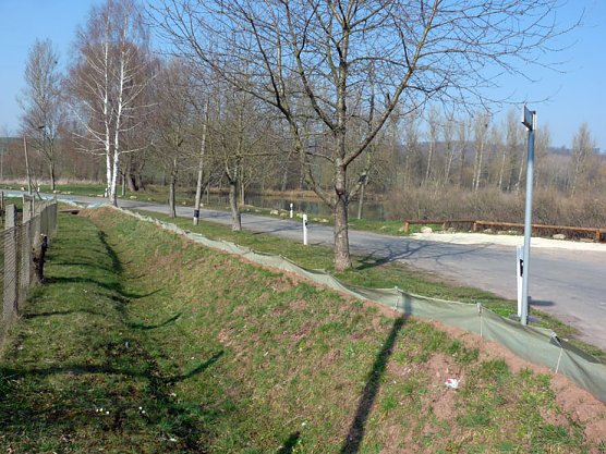 Kr&ouml;tenmarsch beginnt (Foto: Karl-Heinz Herrmann)