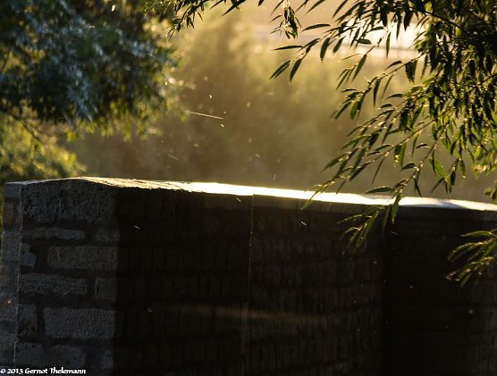 Wetter-Bild (Foto: Gernot Thelemann) Wetter-Bild (Foto: Gernot Thelemann)