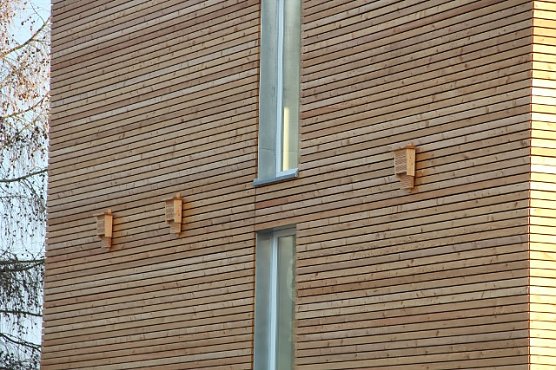 L&auml;rchenholz (Foto: Th&uuml;ringenForst)