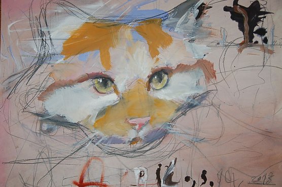 Katze (Foto: Gerd Mackensen) Katze (Foto: Gerd Mackensen)