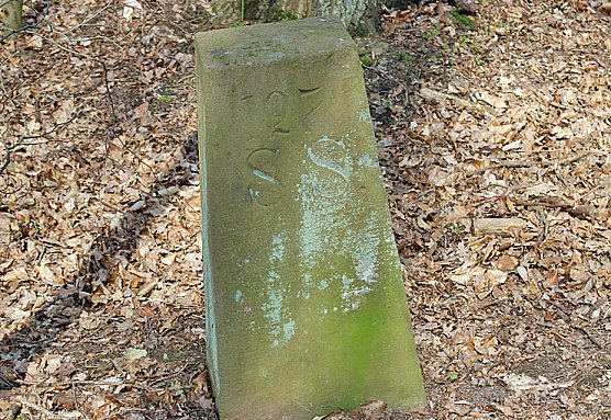 Was nicht alles bl&uuml;ht! (Foto: Karl-Heinz Herrmann)