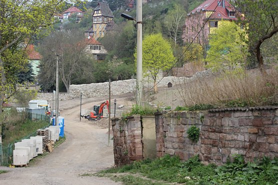 Antlitz verändert (Foto: privat) Antlitz verändert (Foto: privat)