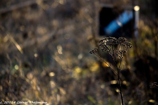 Wetter-Bild (Foto: Gernot Thelemann) Wetter-Bild (Foto: Gernot Thelemann)