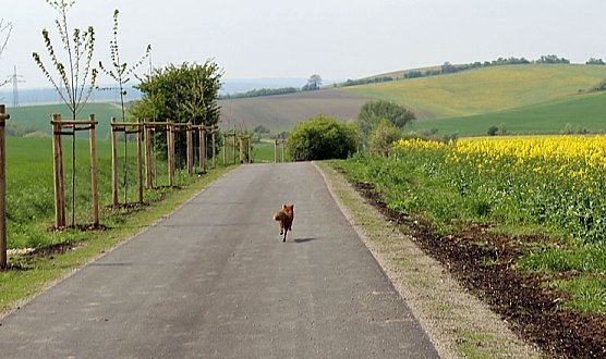 Sieg nach Punkten f&uuml;r kn (Foto: Karl-Heinz Herrmann)