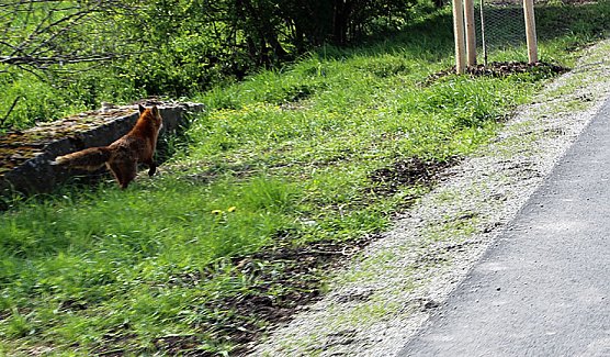 Sieg nach Punkten f&uuml;r kn (Foto: Karl-Heinz Herrmann)