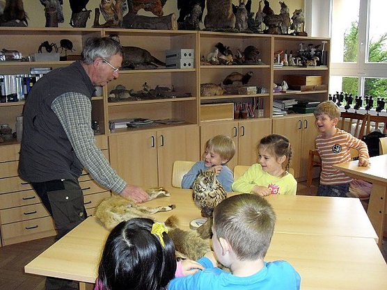 Das Damwild auf dem Rathsfeld (Foto: Stadt Bad Frankenhausen) Das Damwild auf dem Rathsfeld (Foto: Stadt Bad Frankenhausen)