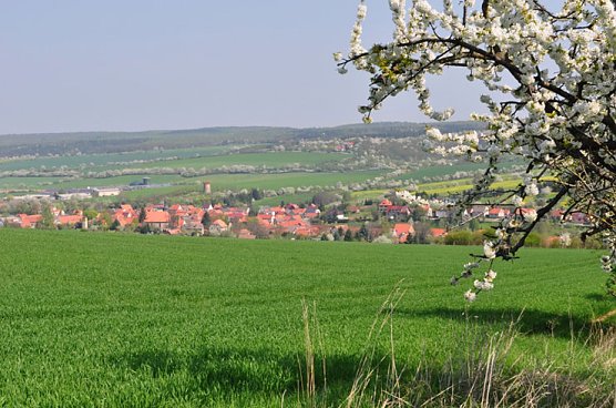 Hohe Schrecke Erlebnistag (Foto: Thomas Stephan)