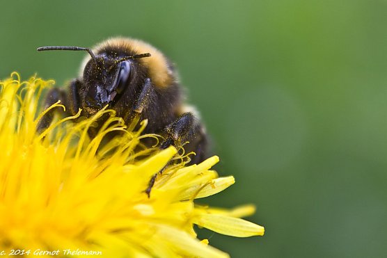 Wetterbild (Foto: Gernot Thelemann) Wetterbild (Foto: Gernot Thelemann)