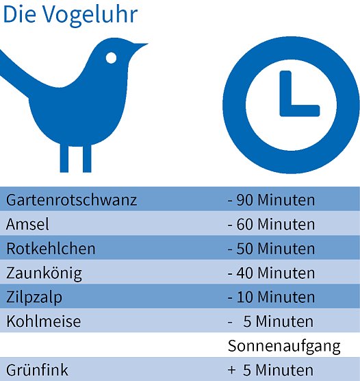 Die Vogeluhr (Foto: NABU Th&uuml;ringen)