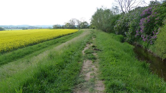Gro&szlig;e Frechheit (Foto: Privat)