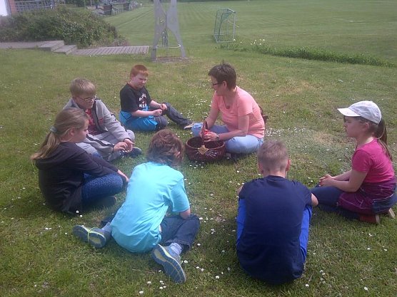 Mit offenen Augen durch die Natur (Foto: DRK) Mit offenen Augen durch die Natur (Foto: DRK)