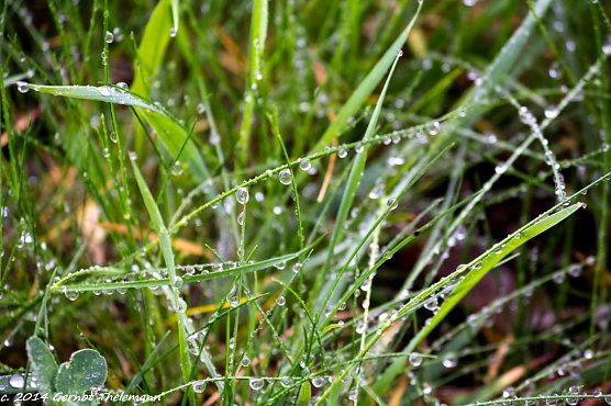 Wetter-Bild (Foto: Gernot Thelemann)