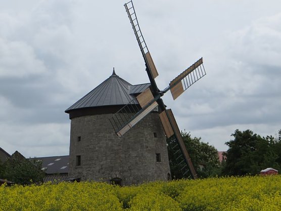 Deutscher Mühlentag 2014 (Foto: Hannelore Kutscha) Deutscher Mühlentag 2014 (Foto: Hannelore Kutscha)