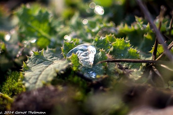 Wetter-Bild (Foto: Gernot Thelemann)