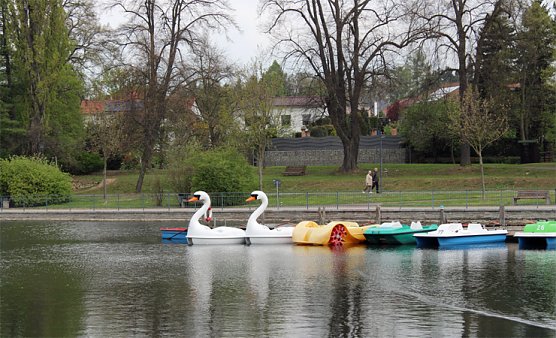 kn-Forum: Schwanenpetition (Foto: Karl-Heinz Herrmann)
