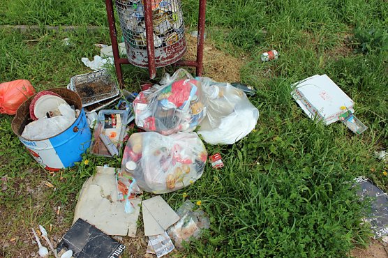 Mittag an der M&uuml;llkippe? (Foto: Karl-Heinz Herrmann)