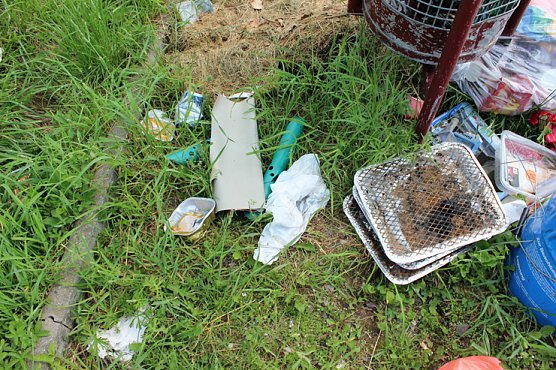 Mittag an der M&uuml;llkippe? (Foto: Karl-Heinz Herrmann)