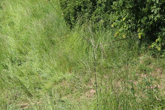 Abschluss&uuml;bung und feierlicher Appell (Foto: Karl-Heinz Herrmann)