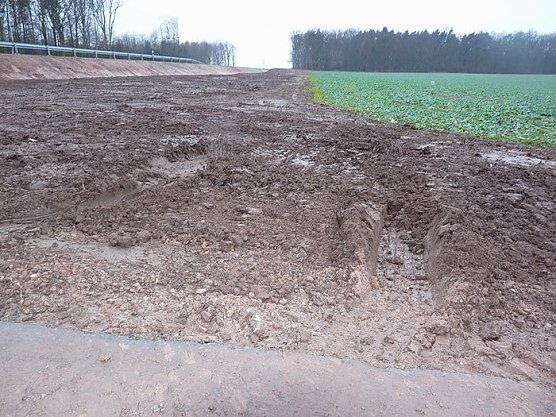 Spur im Schlamm (Foto: Karl-Heinz Herrmann) Spur im Schlamm (Foto: Karl-Heinz Herrmann)