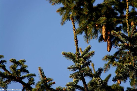 Wetter-Bild (Foto: Gernot Thelemann) Wetter-Bild (Foto: Gernot Thelemann)