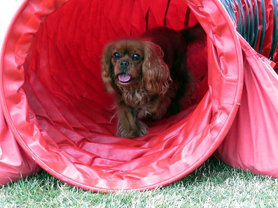 Mal etwas anderes f&uuml;r... (Foto: Erna Michael)