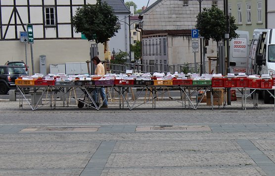 kn in K&uuml;rze (Foto: Karl-Heinz Herrmann)