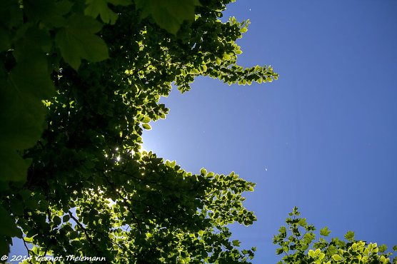 Wetter-Bild (Foto: Gernot Thelemann) Wetter-Bild (Foto: Gernot Thelemann)