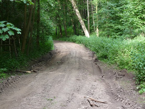 Weg wieder begehbar (Foto: Karl-Heinz Herrmann) Weg wieder begehbar (Foto: Karl-Heinz Herrmann)